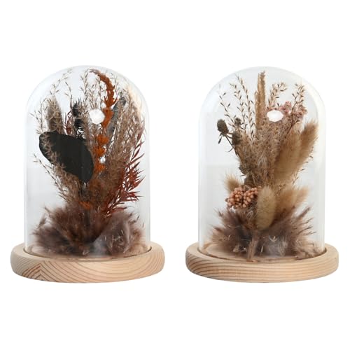 DECORACION FLOR SECA CRISTAL 12X12X17 2 SURT.