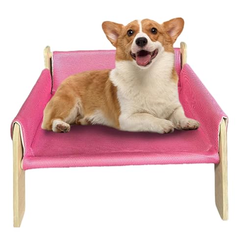 Hundesofas, Katzenbetten, hautfreundliche Katzensofas, stabile Hundebetten, Hundesofas und Stühle mit abnehmbarem Sofabezug für Welpen und Katzen