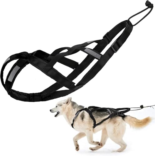 SOYUZERISH Harnais de Traction pour Chien en Nylon avec Bande