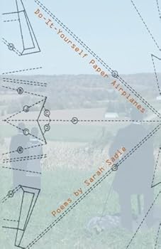 Paperback Do-It-Yourself Paper Airplanes Book