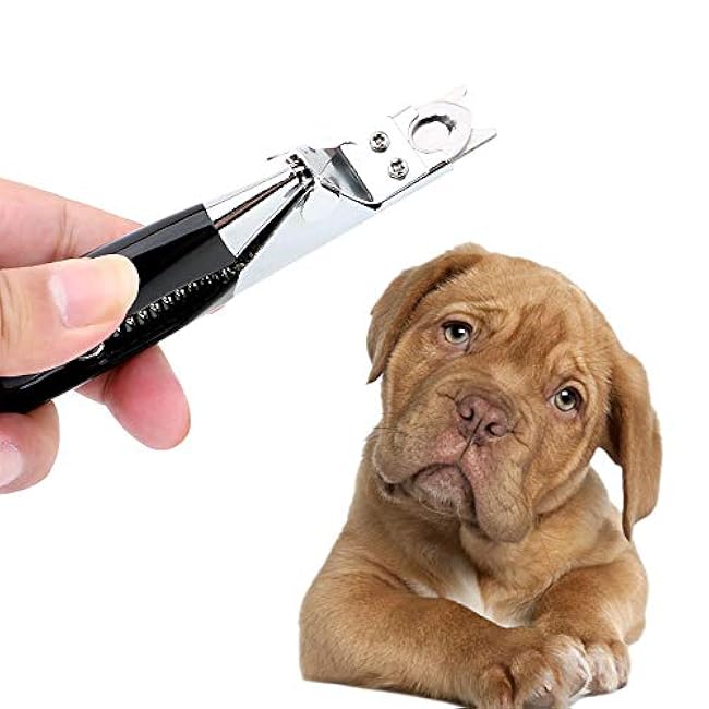 Pet Nail Clipper Pet Products Claw Scissors Stainless Steel Pet Nail Clippers Trimmer Cat Grooming Cat Supplies Cutter 2Pcs Black-jr6LmOAd