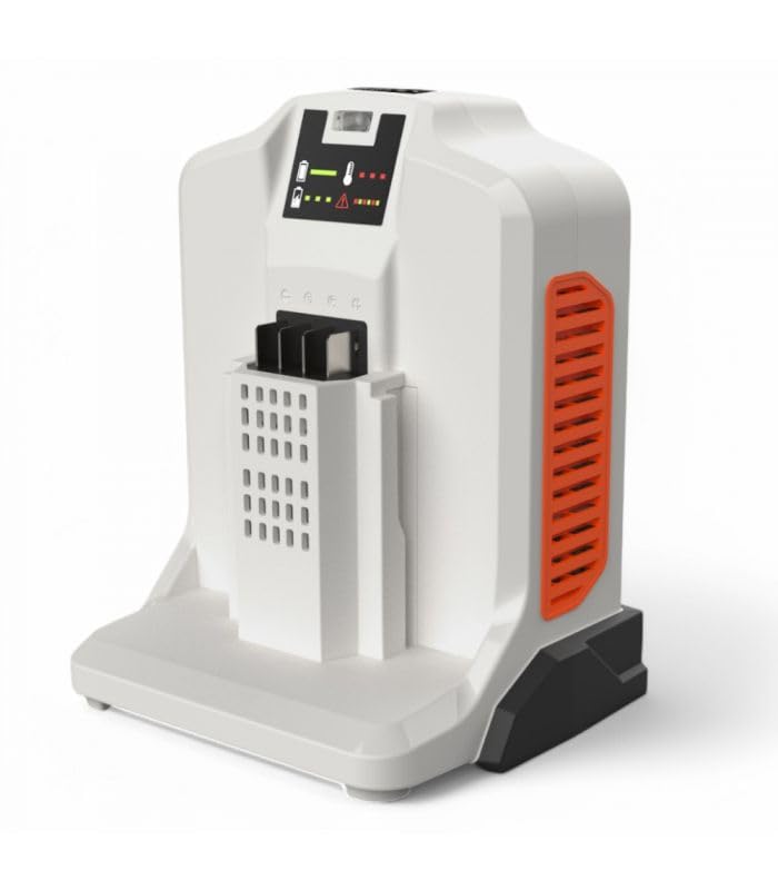 Chargeur Rapide 62V 4A pour Batterie DAEWOO DALCH62-4A