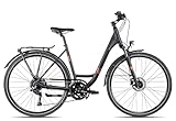 2R Manufaktur TRS Three Wave Trekkingfahrrad Tiefeinstieg Damenfahrrad...