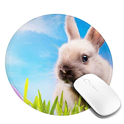 �}�E�X�p�b�h �ی^ ������ �� ������� �h�� ����~�� �S�������� �Q�[�~���O�}�E�X�p�b�h �m�[�g�p�\�R�� PC ���E���h�}�E�X�p�b�h �f�X�N�}�b�g �ϋv�����ǂ� �I�t�B�X�p �r�W�l�X�p �ƒ�p �Q�[���p �~�` 20cm