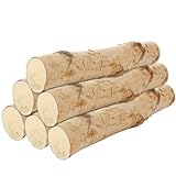 ZUQIAN 6 Pack Gas Fireplace Log 16 Inch Natural Birch Logs for Decorative Birch Branches, Gas Fireplace Logs for Fire Place or Decor, Indoor or Outdoor (Birch Logs: 2.3'-3.2' Dia.)