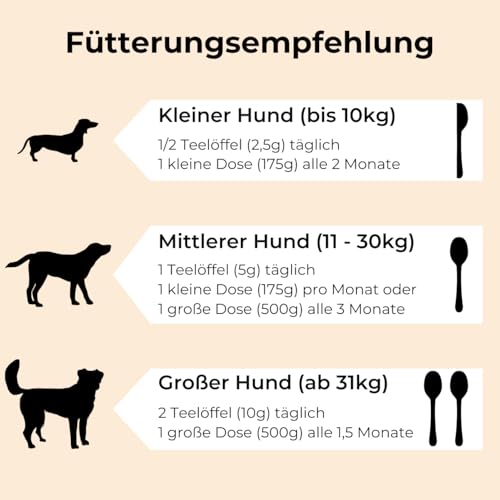 DOG NATIVE GelenkFit für Hunde, hochdosiertes Gelenkpulver mit Grünlippmuschel, MSM, Chondroitin & Kollagen, natürliches Pulver für Gelenke, 175g