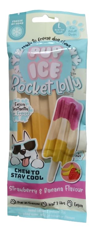 Pup-Ice Freezable Rocket Lolly Treat for Large Dogs 90g Strawberry & Banana Flavour Chew For Digestion Multivitamins