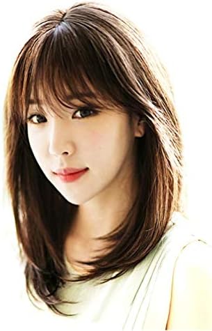 Amazon Onehorse ウィッグ セミロング ストレート ふんわり 自然 小顔 医療 レディース イメチェン ネット付き チョコブラウン フルウィッグ 通販