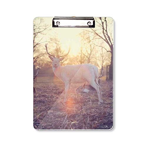 Planchette porte-bloc A4 avec plaque de support rigide pour prise de note
