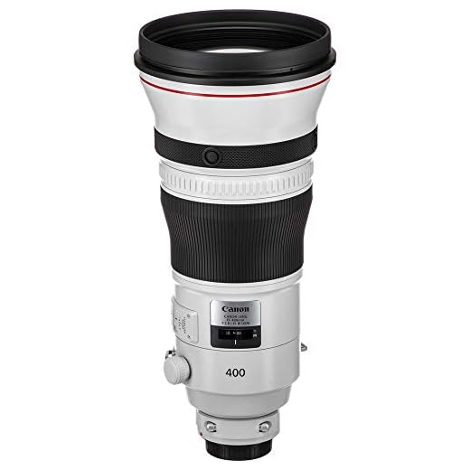 Canon EF 400mm f/2.8L IS III USM Lens