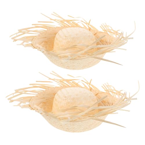 Sombrero paille tropicale decoration hawaienne luau accessoire photo