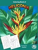 heliconia rostrata comprar  Coloring Book of Heliconia