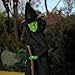 Mego Action Figures, 8” Wizard of Oz - Wicked Witch (1st Time Available in Single Pack) (Limited Edition Collector’s Item)