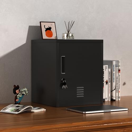 JINGUR Aufbewahrungsschrank aus Metall mit abschließbarer Tür und verstellbarem Regal für die Organisation von Home-Office-Wohnzimmer-Werkstatt (Schwarz)