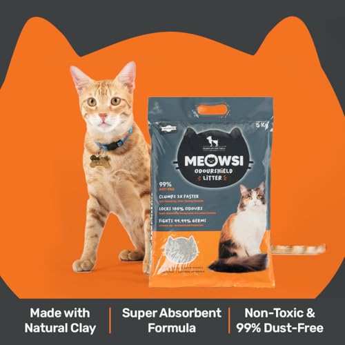 Image of Meowsi by HUFT OdourShield Unscented Cat Litter - 5 kg | Honeycomb Activated Carbon for Strong Odour Control | Natural, Low Dust & High Absorbency | Easy Clumping Litter for Cats