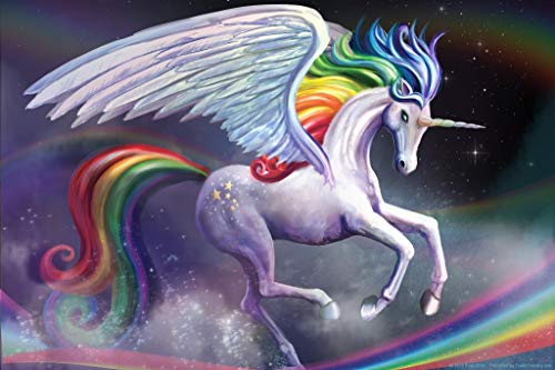 Laminated Rainbow Dancer Unicorn by Rose Khan Poster Dry Erase Wall Art 16x24