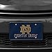 Rico Industries NCAA Notre Dame Fighting Irish Laser Inlaid Metal License Plate Tag Team Color, 6 x 12-