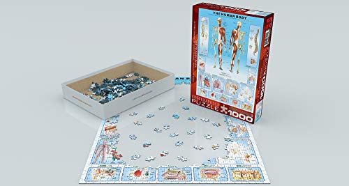 EuroGraphics Rompecabezas Cuerpo Humano (1000 piezas) miniatura 4