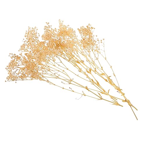 Ramo de flores secas Gypsophila para decoración blanca