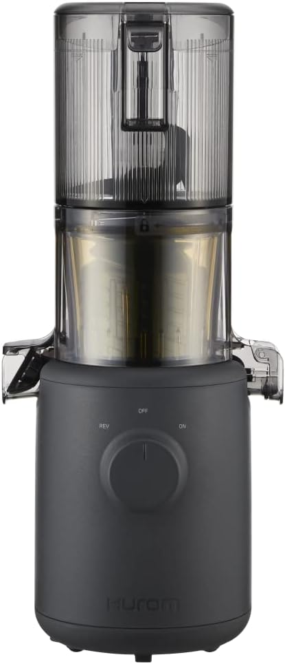 Hurom H310A Personal Juicer