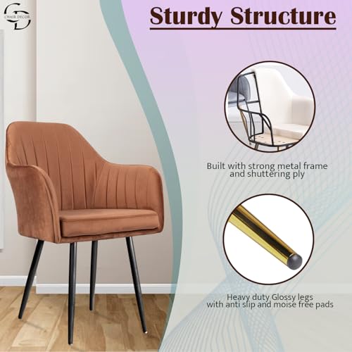 Image of Velvet Accent Chair | Luxury Upholstered Armchair with Sturdy Metal Legs | Modern Comfortable Chair for Living Room, Bedroom, Office, or Cafe (Black Legs, Golden (Light Brown))