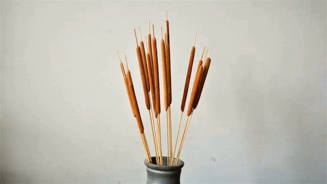 Flores Secas de Cattail Natural Pack 10 Unidades miniatura 7