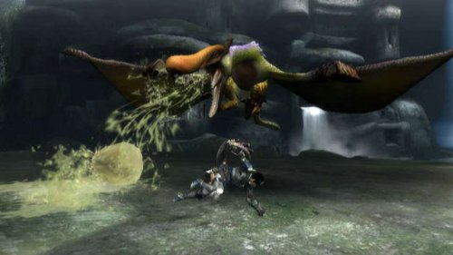 Monster Hunter 3 Wii - vue 6