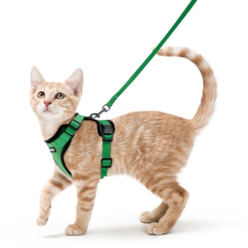 rabbitgoo Pettorina Gatto Antifuga con Guinzaglio, Guinzaglio per Gatti Regolabile, Pettorina Cane Taglia Piccola Riflettente, Imbracatura Gatto Adulto in Maglia Traspirante, Verde Erba, XS