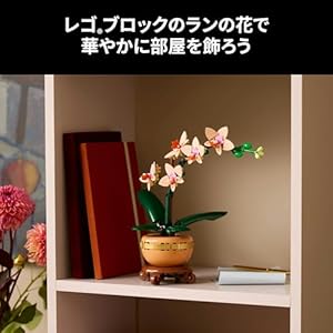 Amazon.co.jp - レゴ® ボタニカル ラン＜ミニ＞ 10343