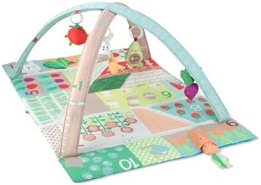 Skip Hop Farmstand Activity Gym, Multicolor, 116l x 81w x 48h cm (307075)