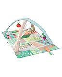Skip Hop Farmstand Grow & Play Activity Gym