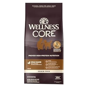 Wellness CORE Grain-Free High-Protein Dry Dog Food, Natural Ingredients, Made in USA with Real Meat, All Breeds, For Adult Dogs (Wild Game Duck, Lamb Meal, Boar & Rabbit, 26-Pound Bag)