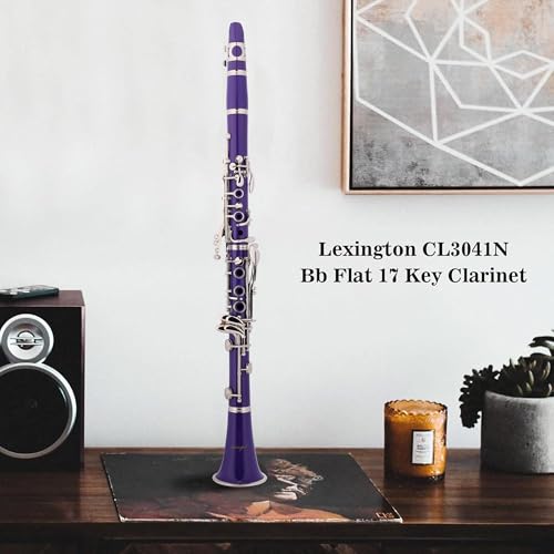 Aileen Lexington Bb Flat 17 Key Clarinet with One-Month Free Lesson, Reed, Mouthpiece, Hard Case, Cork Grease, Screwdriver and Other Kit (Purple, 17 Key)
