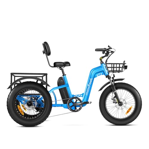 MAXFOOT MF31 Electric Tricycle for Adults, 750W Rear Drive Motor