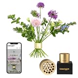 Hanataba Original, Bouquet Holder, 2 pcs Champagne Gold, the Original Spiral Ikeabana Stem Holder, Hanataba Flower Arranger Twist Invented in Sweden,