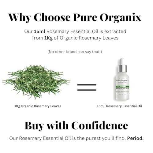 Pure Organix Rosemary Essential Oil Pack of 2 · 15 ml (30 ml total) - Image 3