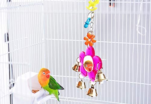 Image of Litewoo Parrot Mirror Toy Bird Hanging Swing Mirror with Bell Interactive Toy for Cockatiel Conure Parakeet Budgie Lovebird Cockatoo Canary Cage Accessories (B)