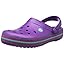 Purple Amethyst Viola Purple Amethyst Viola