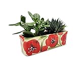 Jardinera de Cerámica Pintada a Mano | Macetero para Ventana, Balcón, Jardín y Patio | Interiorismo - Decoración del hogar | Tiesto para Suculenta y Cactus | 25x8cm (Florida)