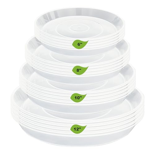 LWALRS 20 Pack Plant Saucer Tray (6 8 10 12 inch), Plant Saucers for Indoors Outdoor, Plastic Heavy Duty Drainage Drip Water Trays for Planter Pots Flower, Clear Pot Saucers Trays for Plants