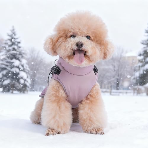 Hundejacke für kleine mittelgroße Hunde, Warmer winddichter Winter Hundemantel mit Geschirr, Haustier Hunde Welpen Outdoor Skifahren Jacken Weste Kostüm (Lila, M)