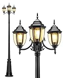 HORTUZZ Lamp Post Outdoor...