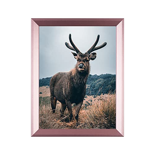 Rahmendesign24 Rio Cadre photo 30 x 40 cm Or rose