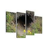 Lair marmot mountain Canvas Prints Wall Decor 4 Pieces Contemporary Framed Artworks for Living Room Bedroom Bathroom Office Home Decoration Gifts