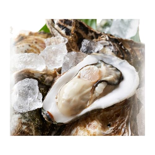 [2026年1月中旬以降順次発送予定]牡蠣 むき身 加熱用 約1.5kg 大粒特選 姫路産 1年牡蠣 剥き 真牡蠣 かき 生牡蠣 生カキ 生かき 剥き身 魚介類 魚介 海鮮 海の幸 兵庫県