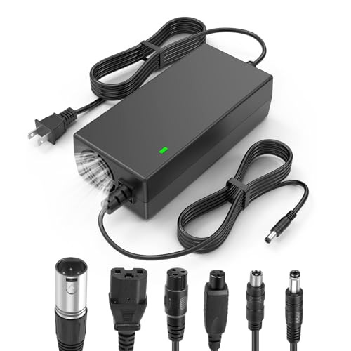Fancy Buying 7-in-1 Universal 54.6V 2A ebike Charger for 48v Fast and Safe Charging of 13S Li-ion Battery