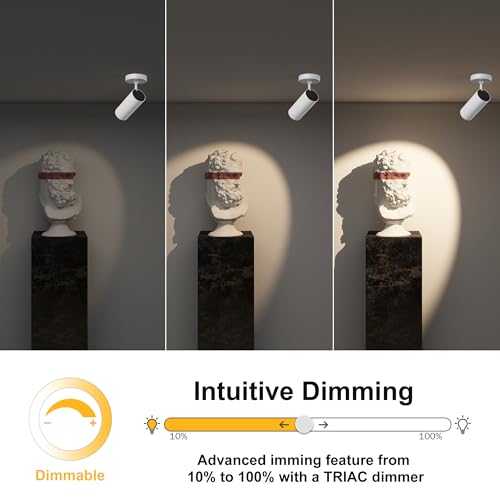 Image of 12W LED Dimmable Ceiling Spotlight Indoor - Adjustable Surface Accent Lamp for Corridor, Living Room, Warm White 3000K, CRI 97 Anti-Glare Picture Artwork Spot Light, White Finish, 2 Packs