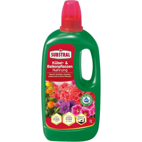 Substral Kübel- & Balkonpflanzen Flüssigdünger 1L Mit Eisen...