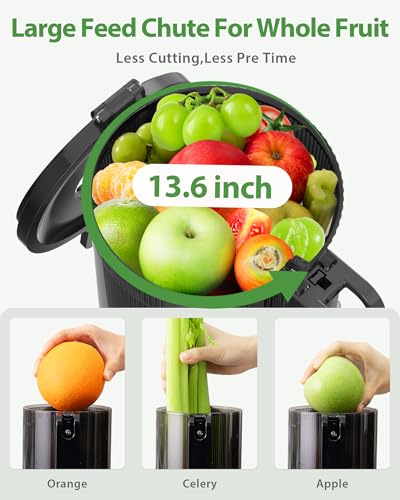 ECOSELF Cold Press Juicer, Wide Mouth & Large Feed Chute, Juicer Machines For Whole Fruits & Vegetables, Slow Masticating Self Feeding for Juice Extractor Machine, Easy to Clean, High Juice Yield - Thumbnail 3
