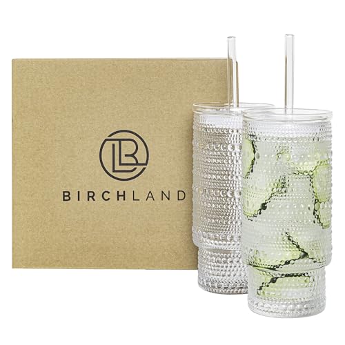 Birchland All Glass Hobnail Tumbler with Glass Lid and Straw, Beaded Style Set of 2 (16 oz Hobnail)